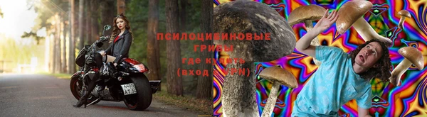 меф Елизово