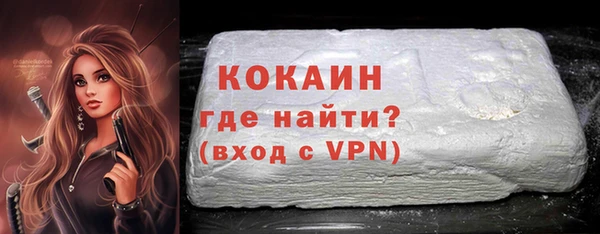 шишки Заводоуковск